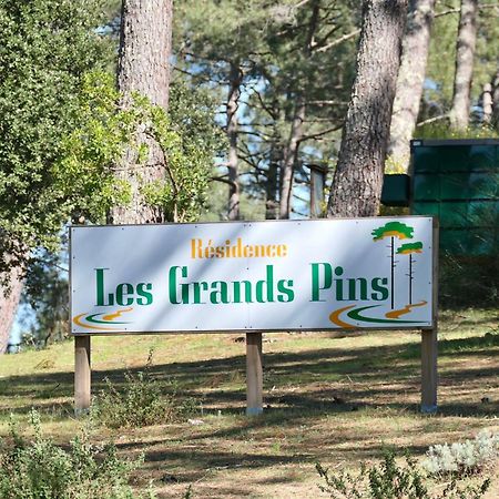 Apt Les Grands Pins, Entre Foret, Lac Et Ocean Carcans Kültér fotó