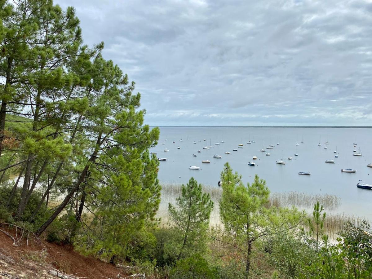 Apt Les Grands Pins, Entre Foret, Lac Et Ocean Carcans Kültér fotó